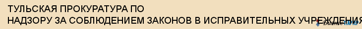 ТУЛЬСКАЯ ПРОКУРАТУРА ПО НАДЗОРУ ЗА СОБЛЮДЕНИЕМ ЗАКОНОВ В ИСПРАВИТЕЛЬНЫХ УЧРЕЖДЕНИЯХ, Тула