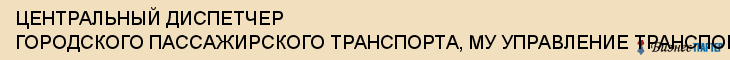 ЦЕНТРАЛЬНЫЙ ДИСПЕТЧЕР ГОРОДСКОГО ПАССАЖИРСКОГО ТРАНСПОРТА, МУ УПРАВЛЕНИЕ ТРАНСПОРТА, СВЯЗИ И ДОРОЖНОГО ХОЗЯЙСТВА, Тула